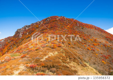 三俣山北峰の紅葉 135956372