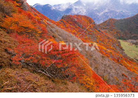 三俣山北峰の紅葉 三俣山北峰の紅葉 135956373