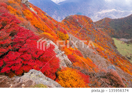 三俣山北峰の紅葉 三俣山北峰の紅葉 135956374