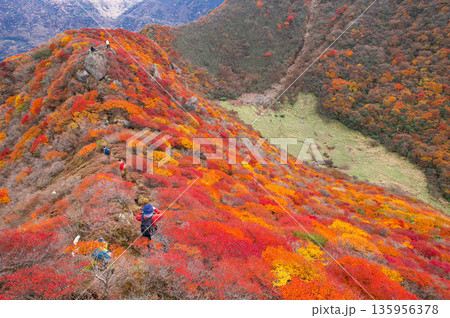 三俣山北峰の紅葉 三俣山北峰の紅葉 135956378