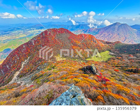 三俣山本峰斜面から望む北峰の紅葉 三俣山本峰斜面から望む北峰の紅葉 135956379