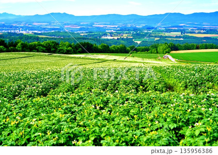 就実の丘から望む風景 就実の丘から望む風景 135956386
