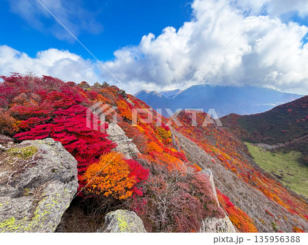 三俣山北峰から望む斜面の紅葉 三俣山北峰から望む斜面の紅葉 135956388