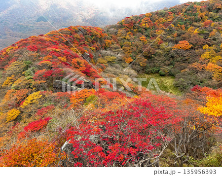 三俣山小鍋周辺の紅葉 三俣山小鍋周辺の紅葉 135956393