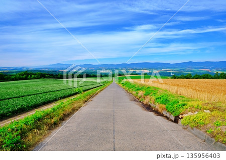 就実の丘からの風景 就実の丘からの風景 135956403
