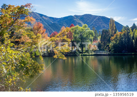 湯布院金鱗湖の紅葉 湯布院金鱗湖の紅葉 135956519