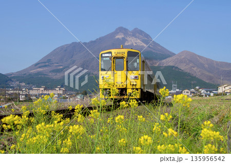 湯布院盆地を走る黄色い列車 135956542