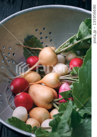 Assorted radish harvest in metal colander Assorted radish harvest in metal colander 135956690