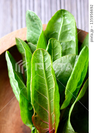 Bright green sorrel foliage served in rustic wooden bowl Bright green sorrel foliage served in rustic wooden bowl 135956692