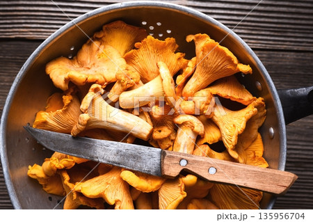 Close-up of chanterelle mushrooms inside a metal colander Close-up of chanterelle mushrooms inside a metal colander 135956704
