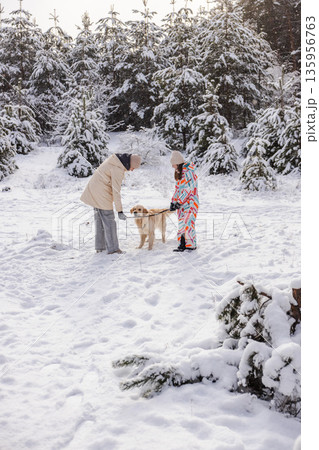 Two teenagers holding stick with Golden Retriever in snowy pine forest, winter outdoor play scene Two teenagers holding stick with Golden Retriever in snowy pine forest, winter outdoor play scene 135956763