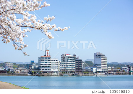 三隈川公園の満開の桜と日田の川沿いの風景 135956810