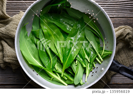 Green wild garlic arranged inside metal strainer on wooden surface Green wild garlic arranged inside metal strainer on wooden surface 135956819