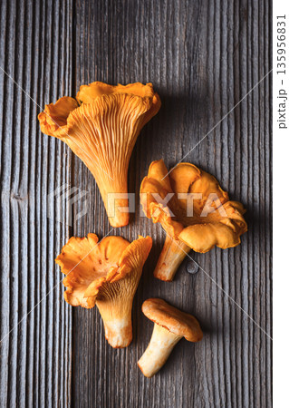 Raw chanterelle mushrooms scattered on wooden table 135956831