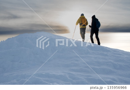 skier standing 135956966