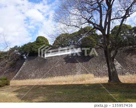 皇居の石垣 135957416
