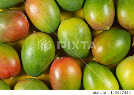 Background of many fresh ripe mangoes. Top view of colorful mango. Background of many fresh ripe mangoes. Top view of colorful mango. 135957420