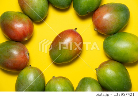 Composition of fresh mangoes on yellow surface. 135957421