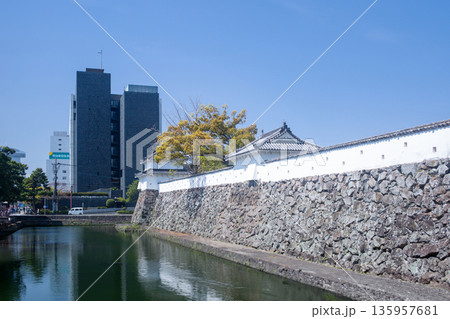 府内城趾と大分市役所庁舎 府内城趾と大分市役所庁舎 135957681