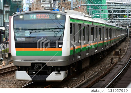 E233系3000番台コツE-74編成　湘南新宿ライン　 135957939