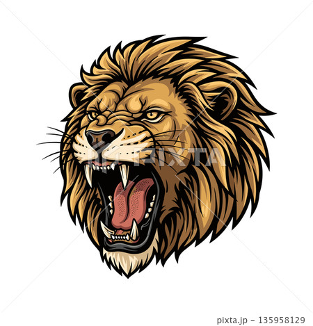 A powerful and detailed vector illustration of a roaring lion's head on white background A powerful and detailed vector illustration of a roaring lion's head on white background 135958129