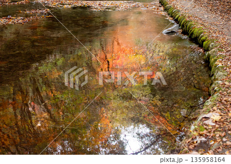 岳切渓谷　紅葉 135958164