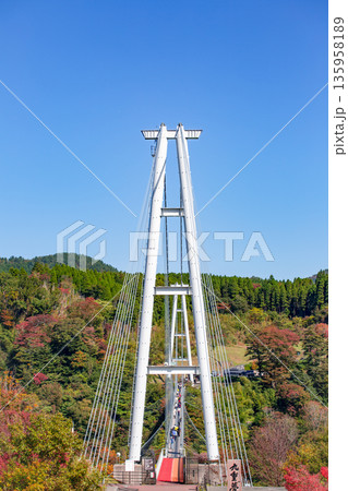 九重“夢”大吊橋と紅葉 135958189