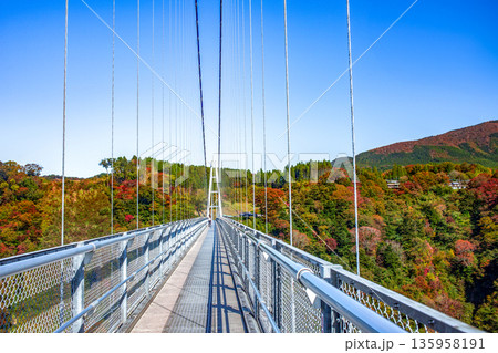 九重“夢”大吊橋と紅葉 九重“夢”大吊橋と紅葉 135958191