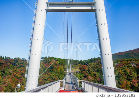 九重“夢”大吊橋と紅葉 九重“夢”大吊橋と紅葉 135958192