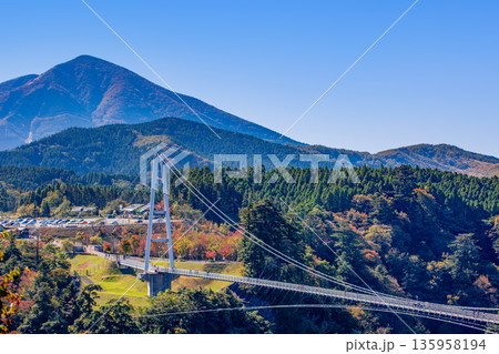 九重“夢”大吊橋と紅葉 135958194