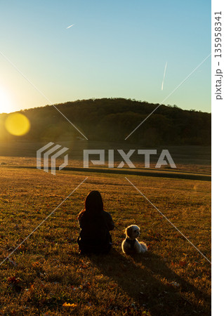 A woman sits in a field with her dog A woman sits in a field with her dog 135958341