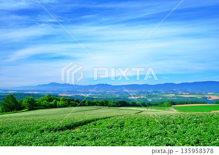 就実の丘から望むパノラマ 135958378
