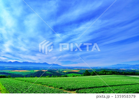 就実の丘から望むパノラマ 135958379