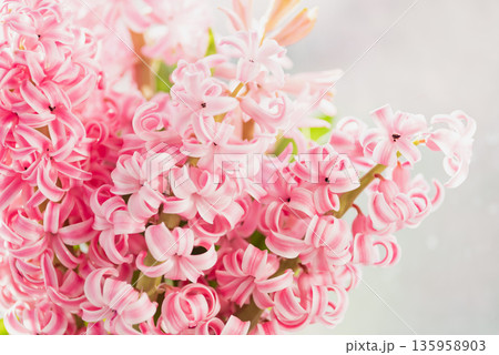 8 March greeting card. mother's day, International Women's Day congratulate Holiday background celebration concept. Pink hyacinth bouquet 135958903