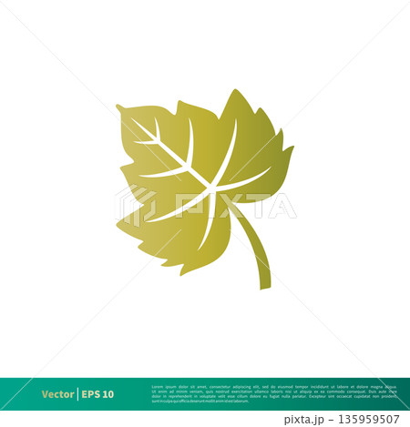 Nature Maple Leaf Icon Vector Logo Template Illustration Design. Vector EPS 10. Nature Maple Leaf Icon Vector Logo Template Illustration Design. Vector EPS 10. 135959507