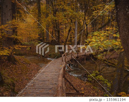 Wooden walkpath in Plitvice National Park. Splendid autumn in forest with pure water lake. Picturesque landscape of Croatia, Europe. Beauty of nature concept background. Wooden walkpath in Plitvice National Park. Splendid autumn in forest with pure water lake. Picturesque landscape of Croatia, Europe. Beauty of nature concept background. 135961194