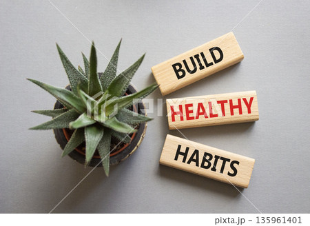 Healthy habits symbol. Concept word Build Healthy habits on wooden blocks with succulent. Beautiful grey background. Healthy lifestyle and Healthy habits concept. Copy space Healthy habits symbol. Concept word Build Healthy habits on wooden blocks with succulent. Beautiful grey background. Healthy lifestyle and Healthy habits concept. Copy space 135961401
