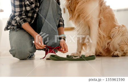 Girl Tying Shoelaces On Sneakers Before Walking With Dog 135961590