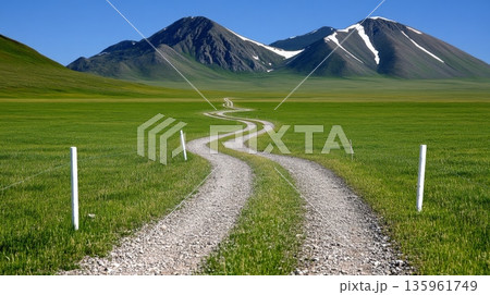 Winding gravel path through lush green fields leading towards distant mountains under a clear blue sky 135961749
