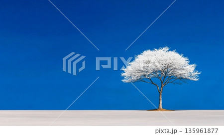 A solitary white tree stands on a snow-covered landscape under a clear blue sky 135961877