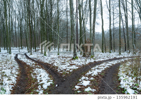 A fork in the dirt road in the winter forest 135962191