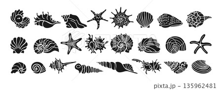 Various Shape Seashells Starfish Ink Silhouette Shadow Style Set Hand Drawn Nautical Illustration Various Shape Seashells Starfish Ink Silhouette Shadow Style Set Hand Drawn Nautical Illustration 135962481
