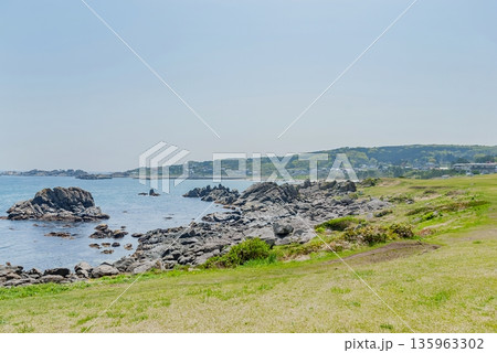 三陸復興国立公園・種差海岸の開放的な芝生地と入り組んだ岩礁が織りなす初夏の絶景 135963302