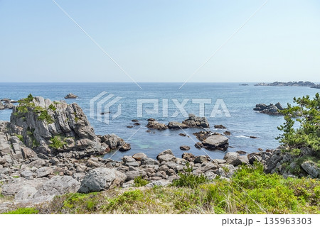 三陸復興国立公園・種差海岸の複雑な岩礁地帯と透明度の高い太平洋が織りなす海岸美 三陸復興国立公園・種差海岸の複雑な岩礁地帯と透明度の高い太平洋が織りなす海岸美 135963303