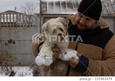A dog with snow stuck to its paws after a walk. A man holds a fluffy dog, carefully removing nasty snowballs and ice from the fur of its paws after playing outside in cold weather. A dog with snow stuck to its paws after a walk. A man holds a fluffy dog, carefully removing nasty snowballs and ice from the fur of its paws after playing outside in cold weather. 135963474