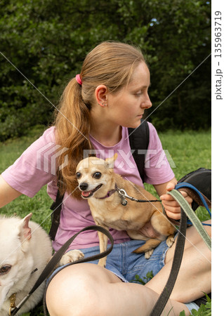 young woman professional dog walker is sitting on green grass with small toy terrier dog. 135963719