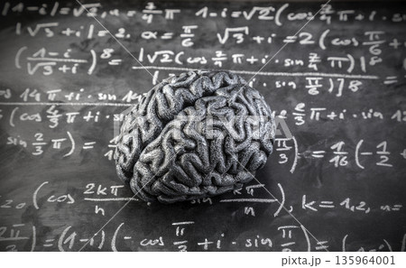 Human brain model with mathematical equations on scholl chalkboard. Science, education and learning concept. Human brain model with mathematical equations on scholl chalkboard. Science, education and learning concept. 135964001