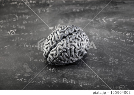 Human brain model with mathematical equations on old dirty dust worn school chalkboard. Science, memory loss disorder and cognitive decline concept. Human brain model with mathematical equations on old dirty dust worn school chalkboard. Science, memory loss disorder and cognitive decline concept. 135964002