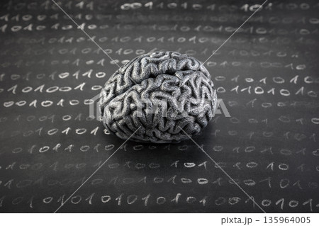 Human brain model and binary code drawn with chalk on worn scholl blackboard. Science, learning or data loss concept. Human brain model and binary code drawn with chalk on worn scholl blackboard. Science, learning or data loss concept. 135964005
