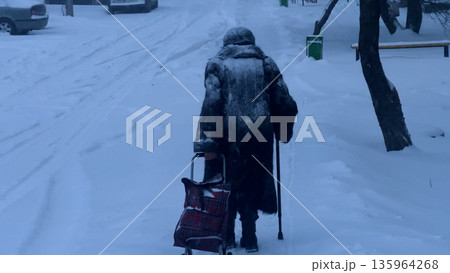 An old woman walks, with a wheelbarrow through deep snow into a blizzard.  135964268